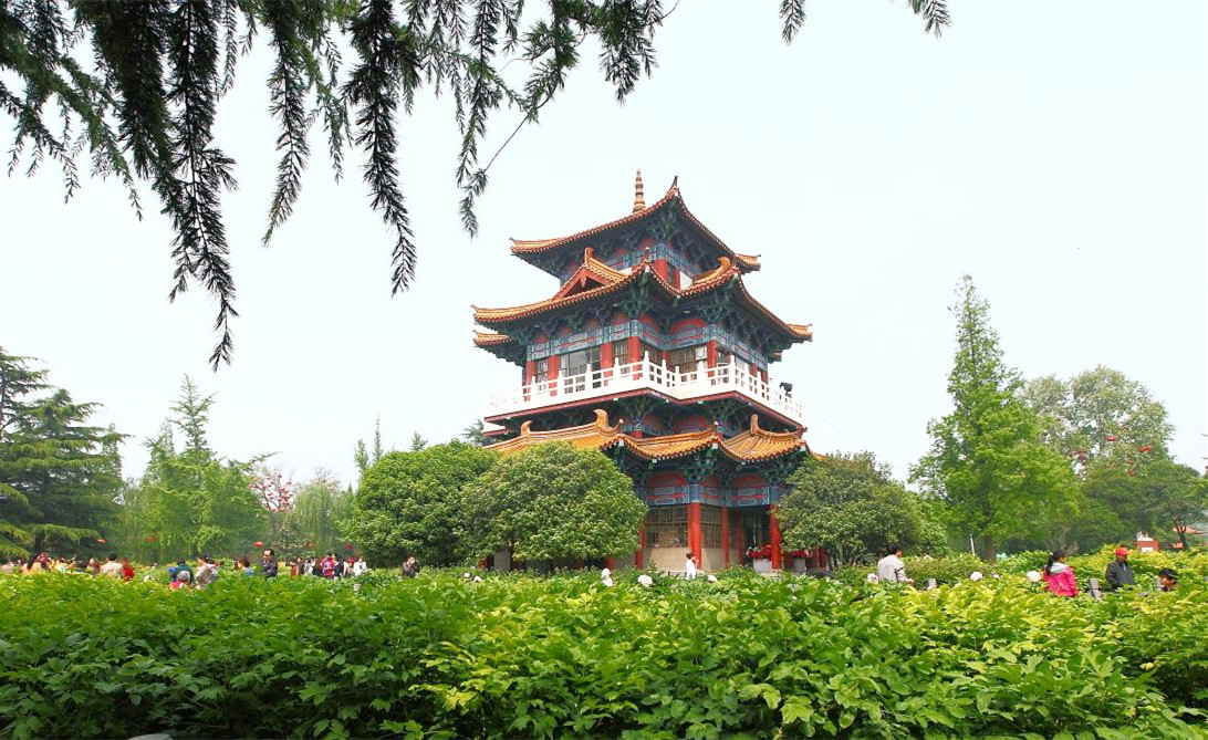 &#21315;&#20159;&#20307;&#32946;&#30331;&#24405;&#32593;&#31449;&#65288;&#20013;&#22269;&#65289;&#38598;&#22242;&#26377;&#38480;&#20844;&#21496;