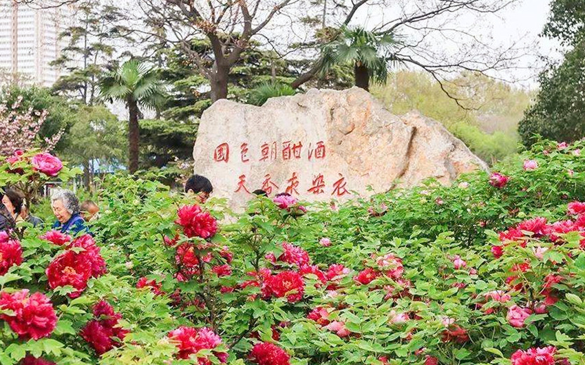 &#21315;&#20159;&#20307;&#32946;&#30331;&#24405;&#32593;&#31449;&#65288;&#20013;&#22269;&#65289;&#38598;&#22242;&#26377;&#38480;&#20844;&#21496;